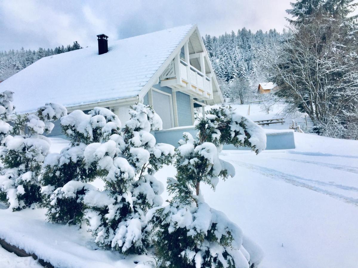 Chalet Le Flocon Bleu - Mauselaine Avec Vue Sur Le Lac De Gerardmer Exterior photo